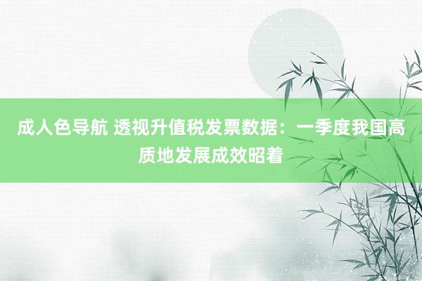 成人色导航 透视升值税发票数据：一季度我国高质地发展成效昭着