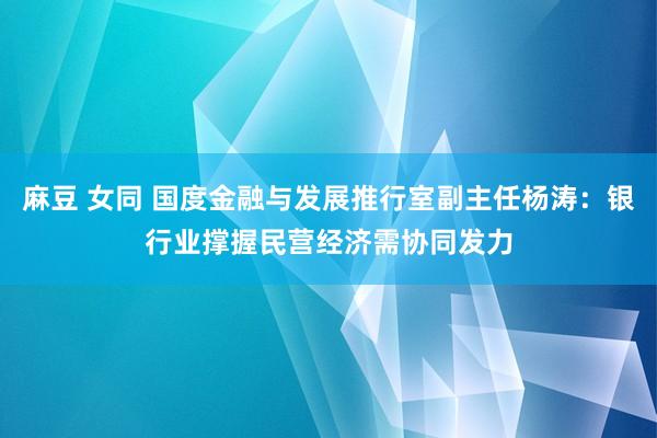 麻豆 女同 国度金融与发展推行室副主任杨涛：银行业撑握民营经济需协同发力