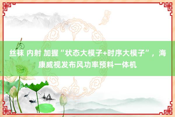 丝袜 内射 加握“状态大模子+时序大模子”，海康威视发布风功率预料一体机