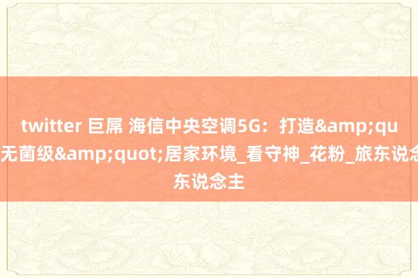 twitter 巨屌 海信中央空调5G：打造&quot;无菌级&quot;居家环境_看守神_花粉_旅东说念主