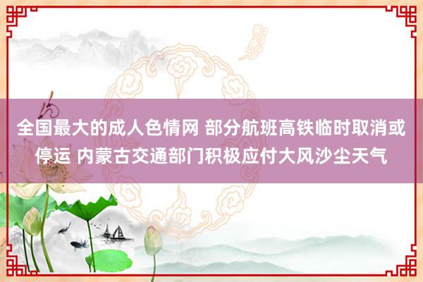 全国最大的成人色情网 部分航班高铁临时取消或停运 内蒙古交通部门积极应付大风沙尘天气