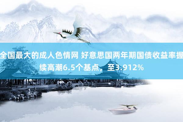 全国最大的成人色情网 好意思国两年期国债收益率握续高潮6.5个基点，至3.912%