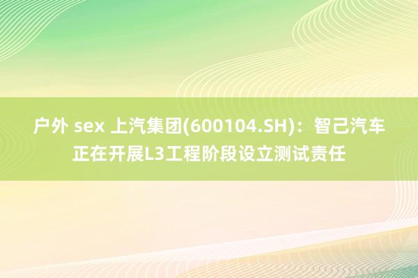 户外 sex 上汽集团(600104.SH)：智己汽车正在开展L3工程阶段设立测试责任