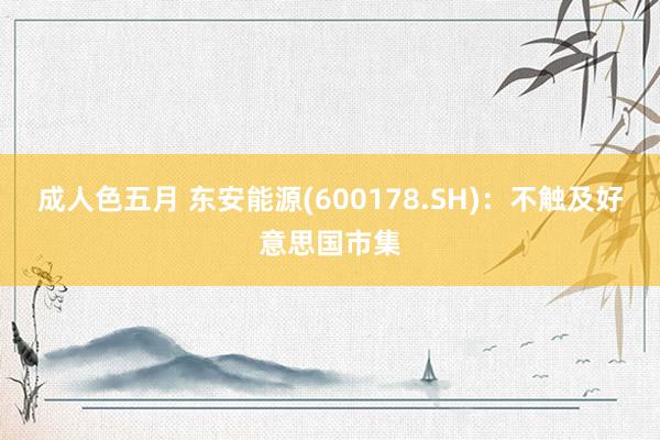成人色五月 东安能源(600178.SH)：不触及好意思国市集