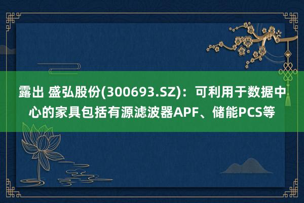 露出 盛弘股份(300693.SZ)：可利用于数据中心的家具包括有源滤波器APF、储能PCS等
