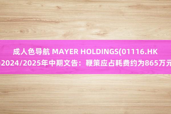 成人色导航 MAYER HOLDINGS(01116.HK)2024/2025年中期文告：鞭策应占耗费约为865万元