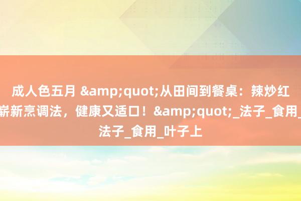 成人色五月 &quot;从田间到餐桌：辣炒红薯叶的崭新烹调法，健康又适口！&quot;_法子_食用_叶子上