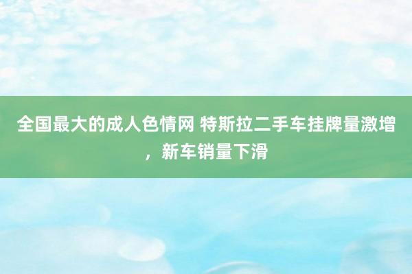 全国最大的成人色情网 特斯拉二手车挂牌量激增，新车销量下滑