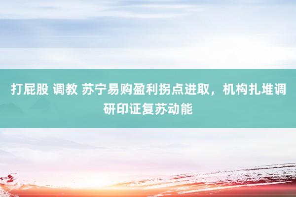 打屁股 调教 苏宁易购盈利拐点进取，机构扎堆调研印证复苏动能