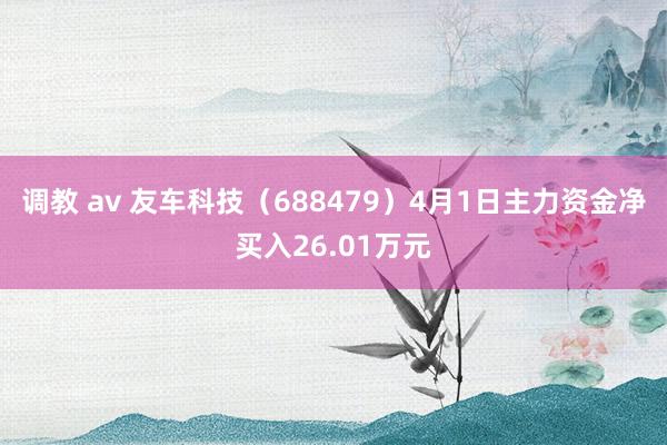 调教 av 友车科技（688479）4月1日主力资金净买入26.01万元
