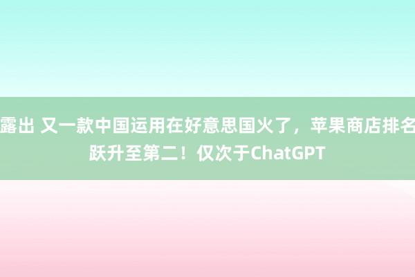露出 又一款中国运用在好意思国火了，苹果商店排名跃升至第二！仅次于ChatGPT