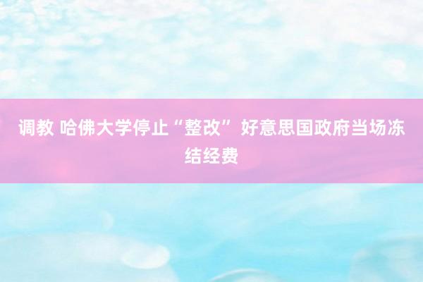 调教 哈佛大学停止“整改” 好意思国政府当场冻结经费