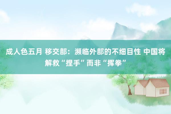 成人色五月 移交部：濒临外部的不细目性 中国将解救“捏手”而非“挥拳”