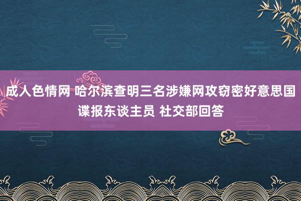 成人色情网 哈尔滨查明三名涉嫌网攻窃密好意思国谍报东谈主员 社交部回答