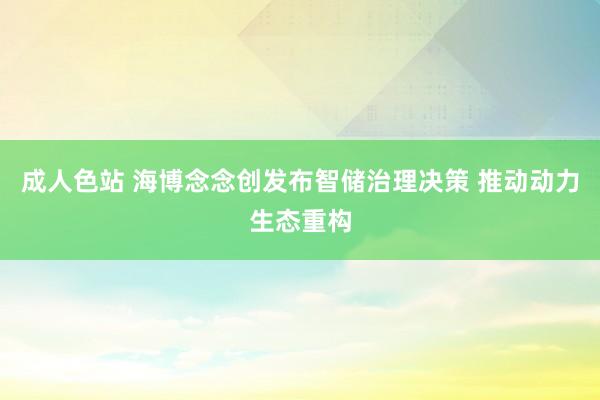 成人色站 海博念念创发布智储治理决策 推动动力生态重构