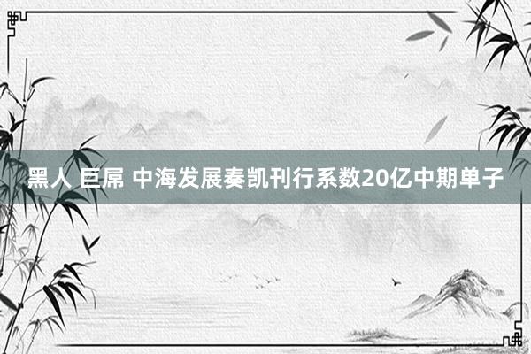 黑人 巨屌 中海发展奏凯刊行系数20亿中期单子