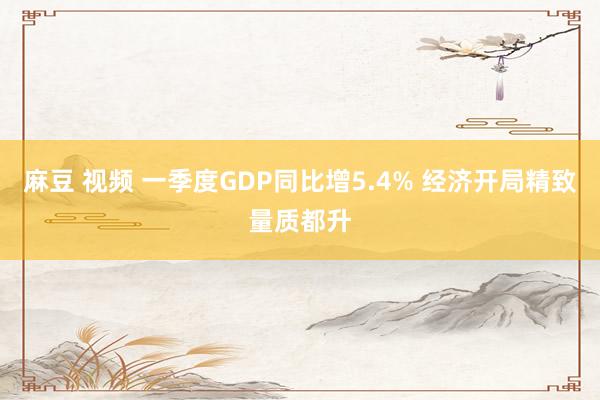 麻豆 视频 一季度GDP同比增5.4% 经济开局精致量质都升