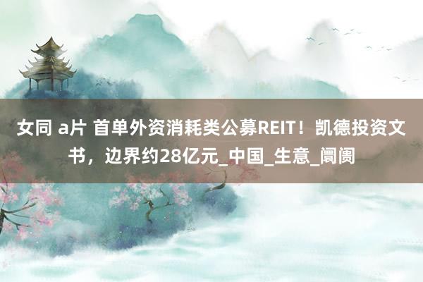 女同 a片 首单外资消耗类公募REIT！凯德投资文书，边界约28亿元_中国_生意_阛阓