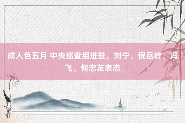 成人色五月 中央巡查组进驻，刘宁、倪岳峰、冯飞、何忠友表态