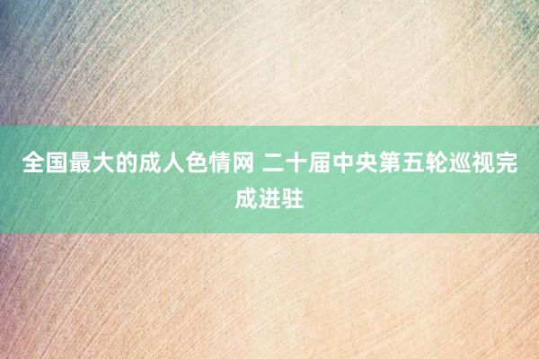 全国最大的成人色情网 二十届中央第五轮巡视完成进驻