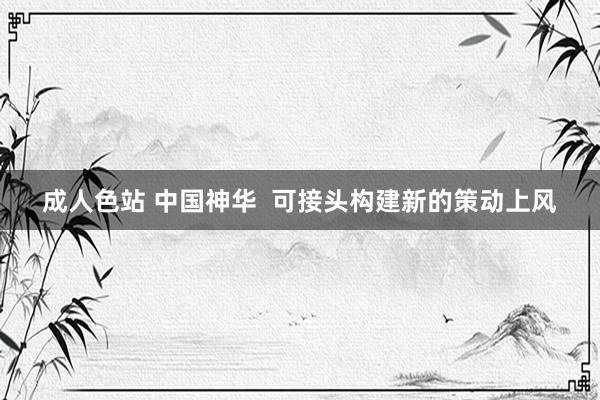 成人色站 中国神华  可接头构建新的策动上风