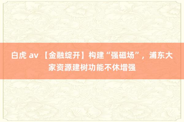 白虎 av 【金融绽开】构建“强磁场”，浦东大家资源建树功能不休增强