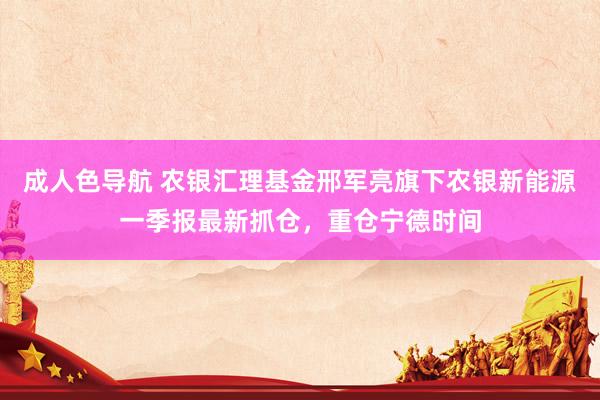 成人色导航 农银汇理基金邢军亮旗下农银新能源一季报最新抓仓，重仓宁德时间