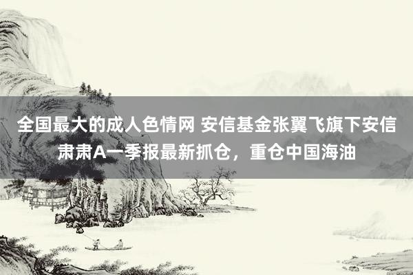 全国最大的成人色情网 安信基金张翼飞旗下安信肃肃A一季报最新抓仓，重仓中国海油