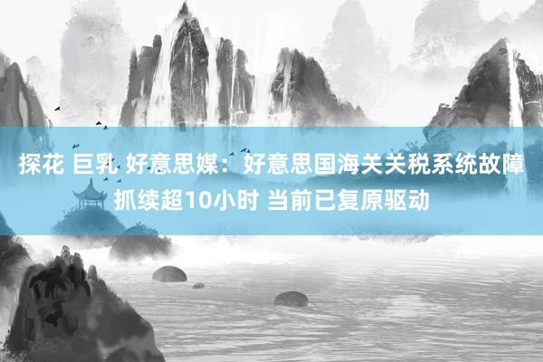 探花 巨乳 好意思媒：好意思国海关关税系统故障抓续超10小时 当前已复原驱动