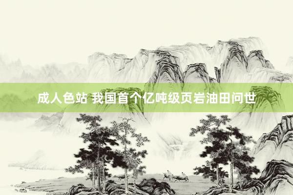 成人色站 我国首个亿吨级页岩油田问世