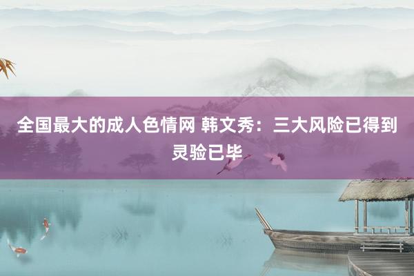 全国最大的成人色情网 韩文秀：三大风险已得到灵验已毕