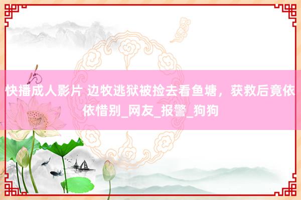 快播成人影片 边牧逃狱被捡去看鱼塘，获救后竟依依惜别_网友_报警_狗狗