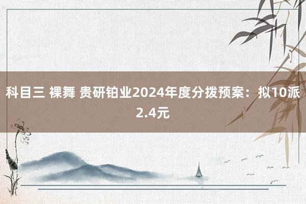 科目三 裸舞 贵研铂业2024年度分拨预案：拟10派2.4元
