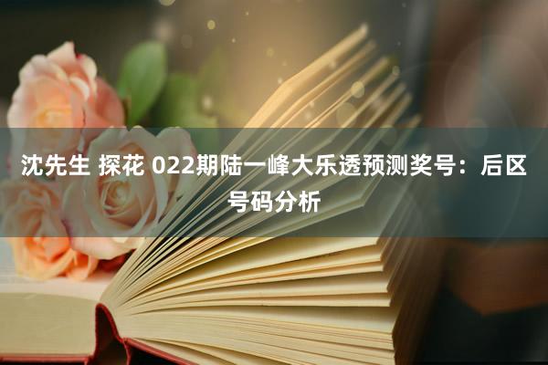沈先生 探花 022期陆一峰大乐透预测奖号：后区号码分析