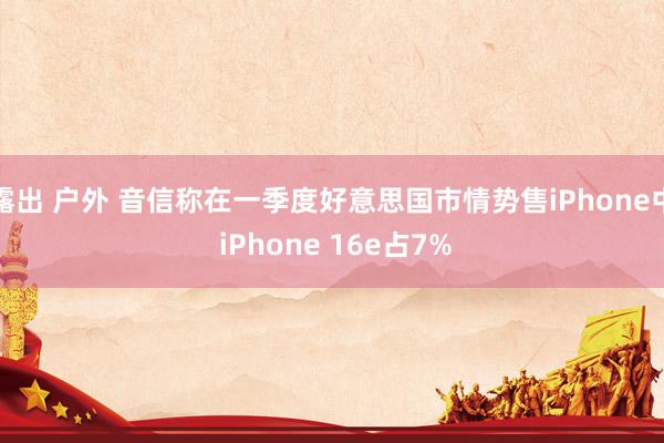 露出 户外 音信称在一季度好意思国市情势售iPhone中 iPhone 16e占7%